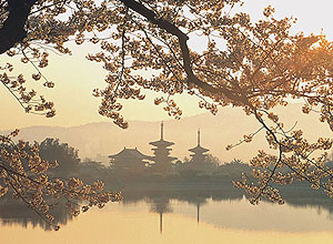 �y�G�[�XJTB�z�ޗǃc�A�[�E�ޗǂ̗��فE�z�e���\��